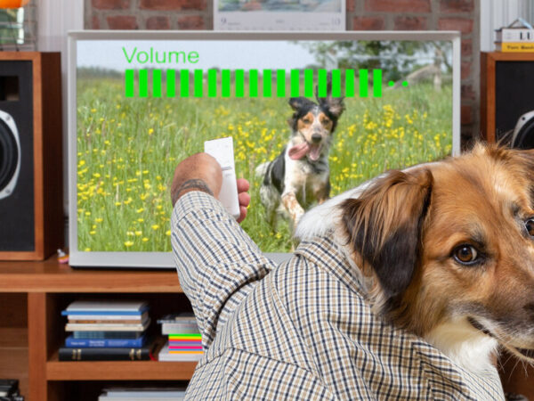 DogTV Is TV for Dogs. Except When It’s for People.