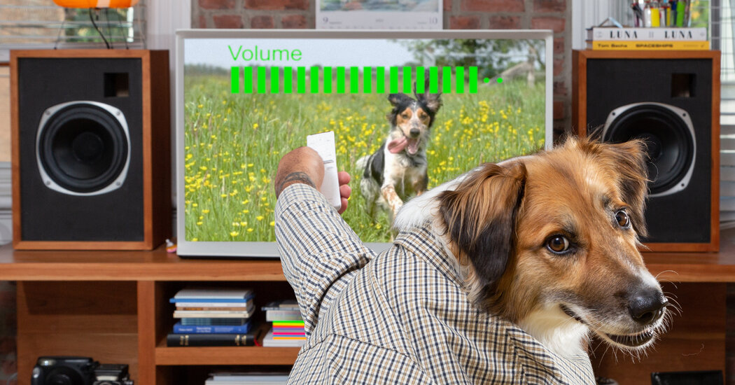 DogTV Is TV for Dogs. Except When It’s for People. DogTV Is TV for Dogs. Except When It’s for People.