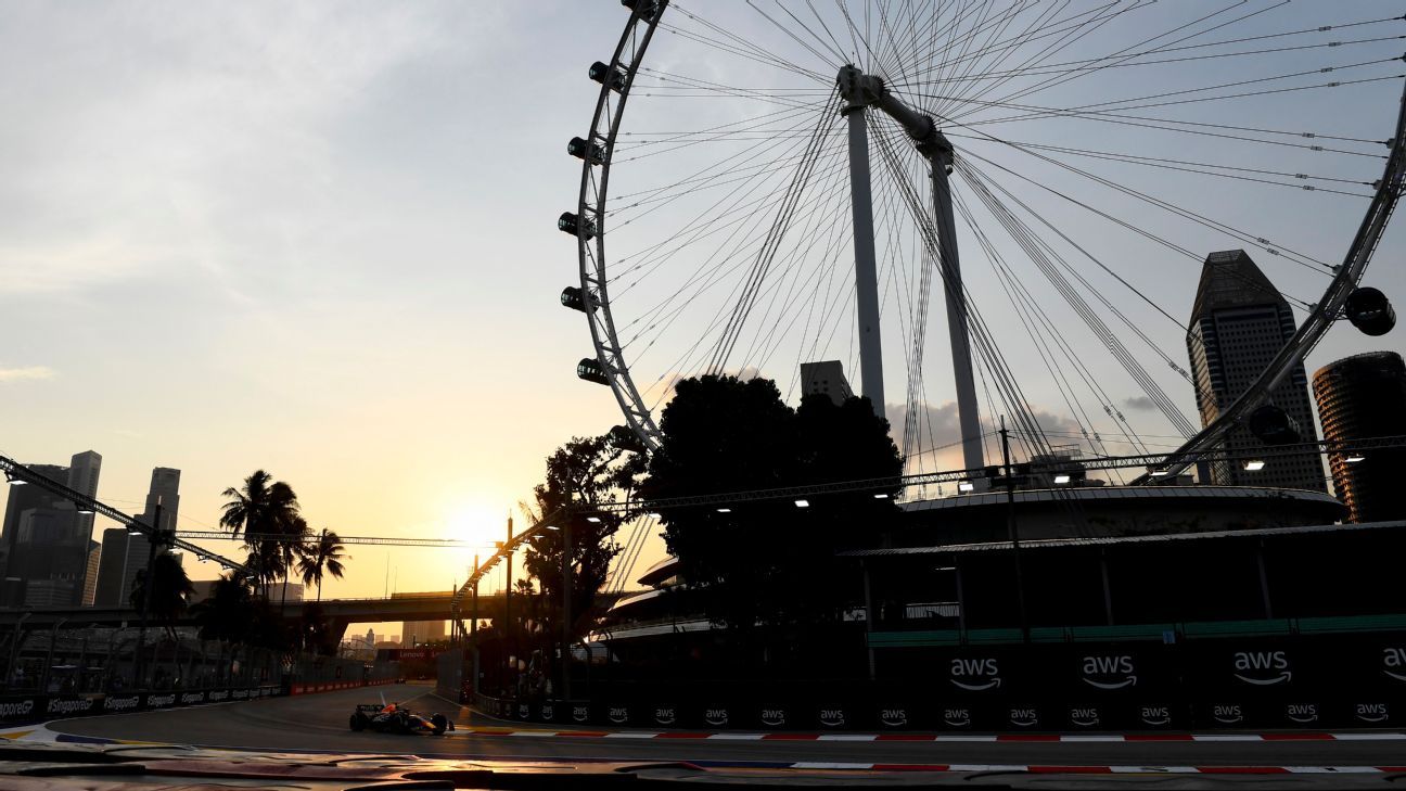 Drivers slowed by rogue reptiles in Singapore F1 practice Drivers slowed by rogue reptiles in Singapore F1 practice