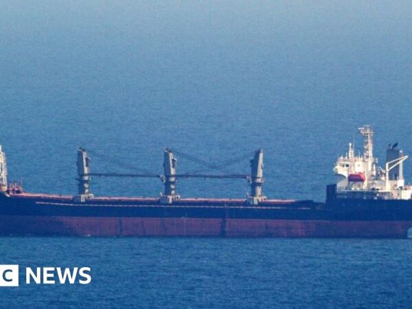 First grain ships arrive in Ukraine using new route