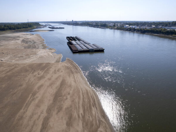 Low Mississippi River limits barges just as farmers want to move their crops downriver