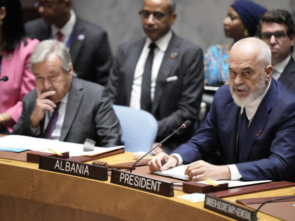 Permanent observers, more Security Council and what else is going on at the UN