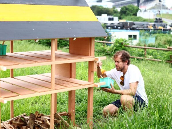 Sebastian Vettel builds ‘insect hotels’ at Suzuka as part of biodiversity campaign