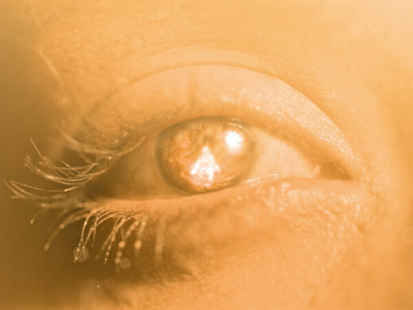 ‘After Death’ Review: Visions at the Brink From Those Who Returned