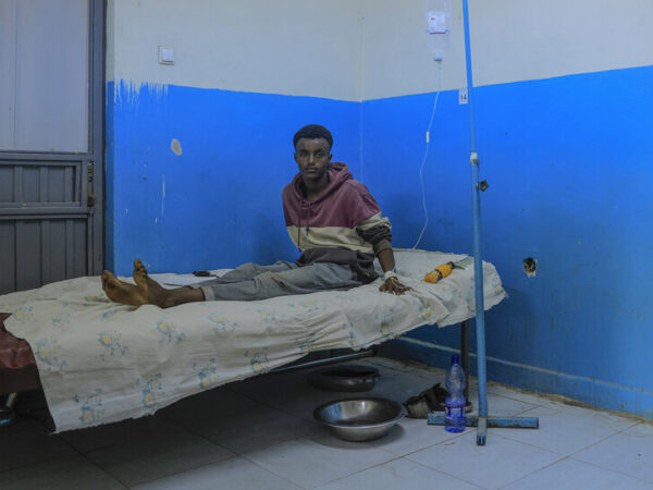 An Invasive Mosquito Threatens Catastrophe in Africa