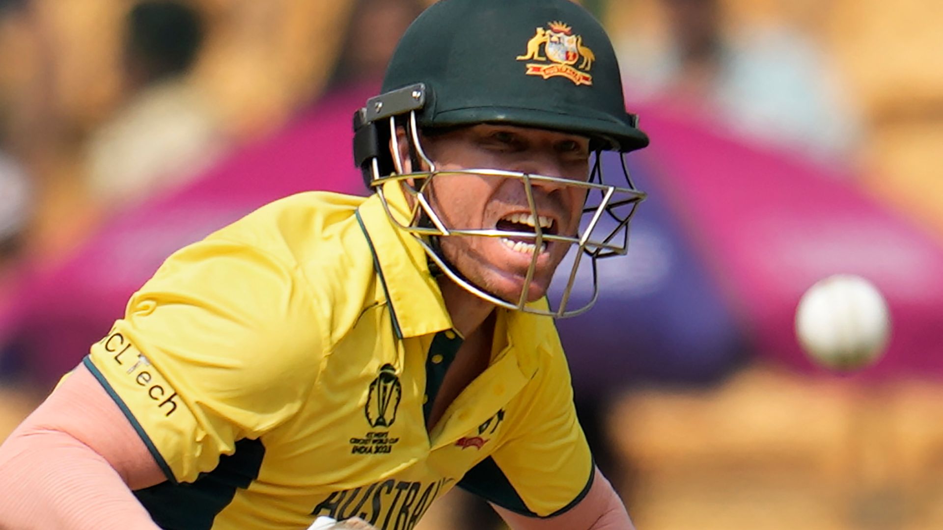 Australia vs Netherlands – Scorecard & Stats – ICC Men’s Cricket World Cup