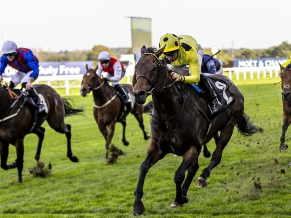 Breeders’ Cup live on Sky Sports Racing: Emaraaty Ana could head stateside again after Rous Stakes victory at Ascot | Racing News