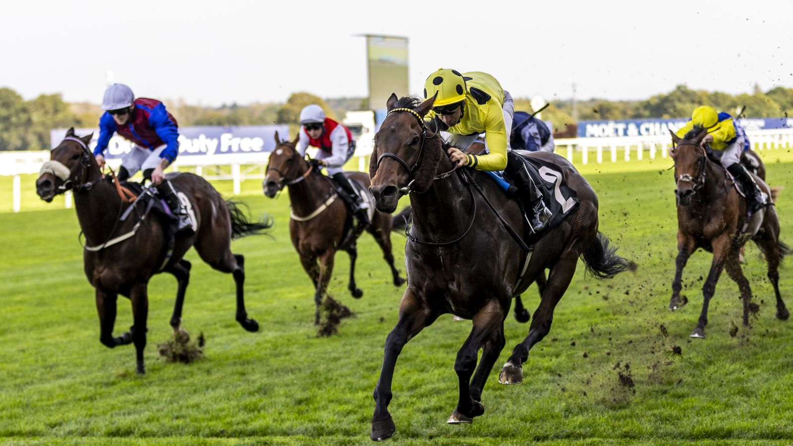 Breeders’ Cup live on Sky Sports Racing: Emaraaty Ana could head stateside again after Rous Stakes victory at Ascot | Racing News Breeders’ Cup live on Sky Sports Racing: Emaraaty Ana could head stateside again after Rous Stakes victory at Ascot | Racing News