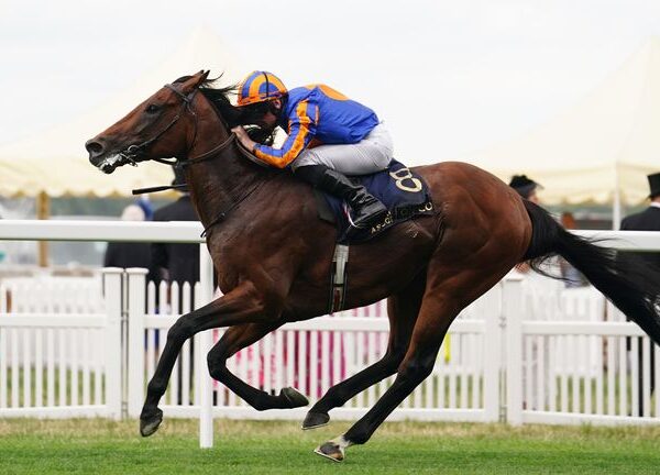 Breeders’ Cup Turf: Aidan O’Brien’s Derby hero Auguste Rodin set for Santa Anita next month | Racing News