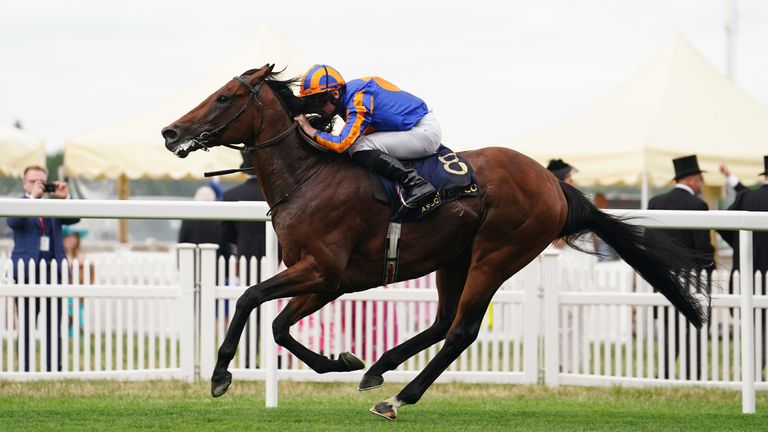 Breeders’ Cup Turf: Aidan O’Brien’s Derby hero Auguste Rodin set for Santa Anita next month | Racing News