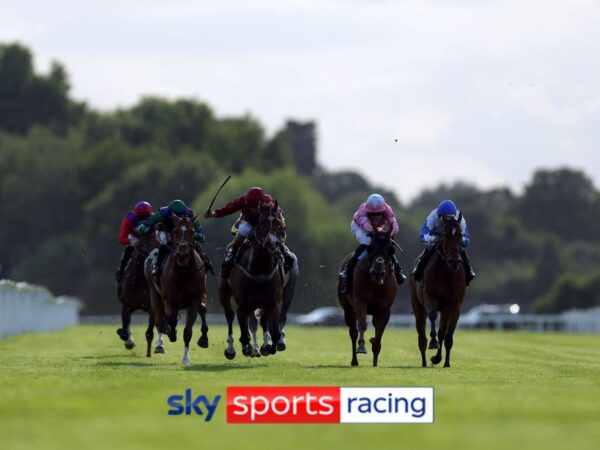 Five horses to follow on Sky Sports Racing this Monday at Windsor and Wolverhampton! | Racing News