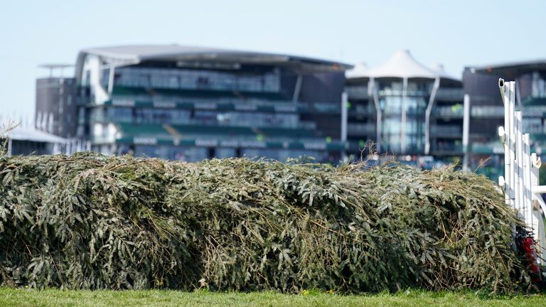 Grand National: Aintree reduced to 34 runners in 2024 and changes made to first fence amid horse welfare focus | Racing News Grand National: Aintree reduced to 34 runners in 2024 and changes made to first fence amid horse welfare focus | Racing News