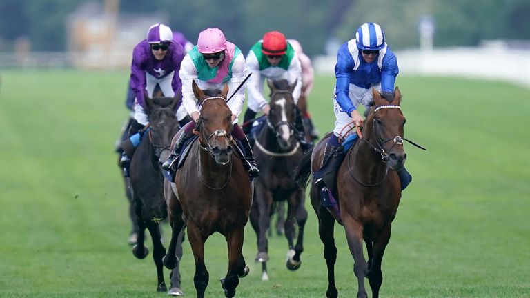 Hukum retired: Owen Burrows’ King George and Coronation Cup hero to stand at stud in Japan | Racing News Hukum retired: Owen Burrows’ King George and Coronation Cup hero to stand at stud in Japan | Racing News