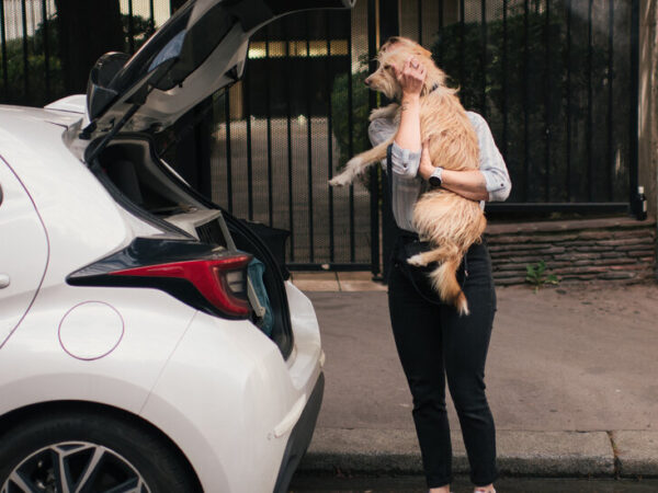 In Paris, Bedbugs and Fear of Bedbugs