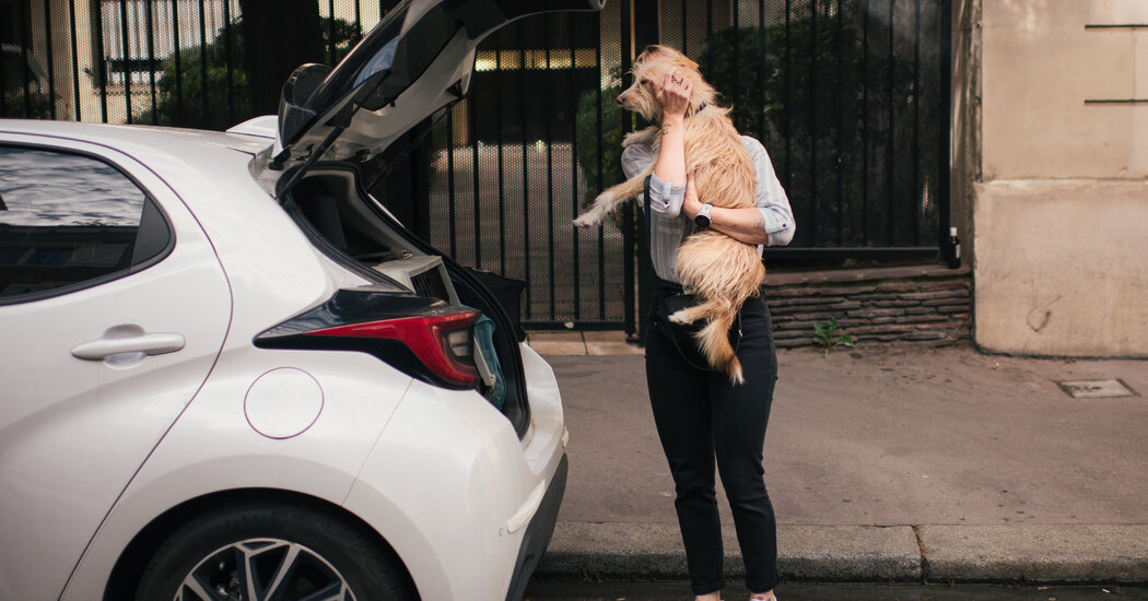 In Paris, Bedbugs and Fear of Bedbugs