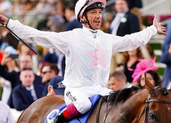 Melbourne Cup: Willie Mullins dreaming of bringing Flemington showpiece to Carlow with Vauban and Absurde | Racing News