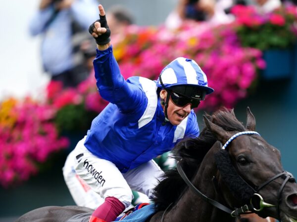 Mostahdaf set to bow out at Breeders' Cup after skipping Ascot