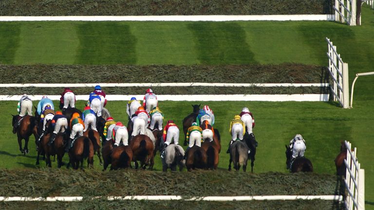 Ted Walsh: Grand National changes the next step in abolition of jump racing | Racing News Ted Walsh: Grand National changes the next step in abolition of jump racing | Racing News