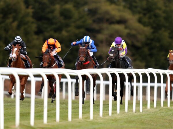 Today on Sky Sports Racing: Dual Flat action with Windsor and Wolverhampton on show on Monday | Racing News