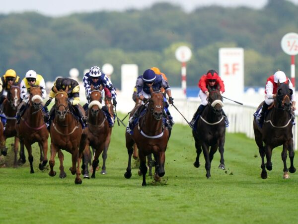 Today on Sky Sports Racing: Windsor, Plumpton and Wolverhampton all in action on busy Monday | Racing News