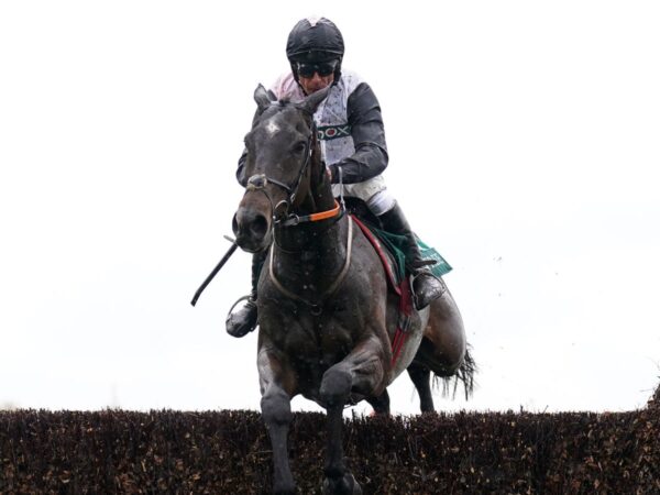 Down Royal: Gerri Colombe return delayed as key jumps meeting postponed due to waterlogged track | Racing News