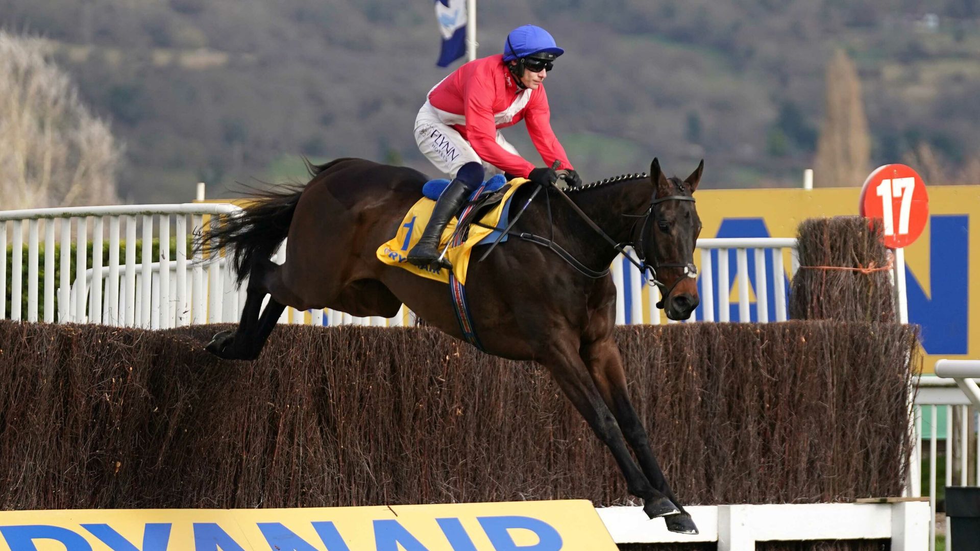 Dual Ryanair winner Allaho returns at Clonmel Dual Ryanair winner Allaho returns at Clonmel