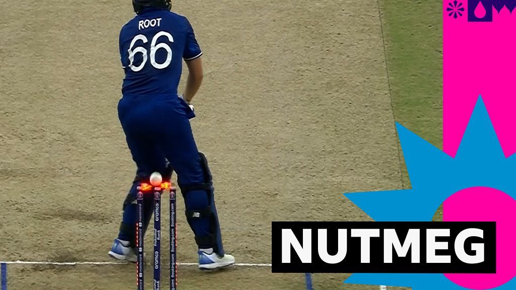 'He's been nutmegged!' – Root bowled through his legs by Van Beek 'He's been nutmegged!' – Root bowled through his legs by Van Beek