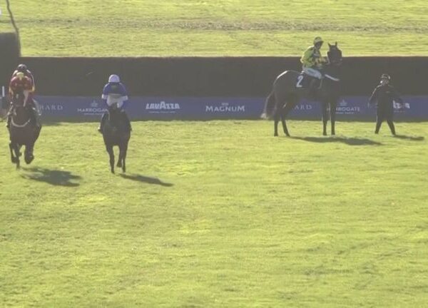 Rehearsal Chase live on Sky Sports Racing: Shishkin has Newcastle option after refusing to race in 1965 Chase at Ascot | Racing News