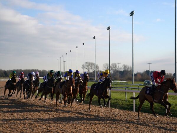 Southwell to stage jumpers’ bumper Sunday fixture as weather threatens meetings | Racing News Southwell to stage jumpers’ bumper Sunday fixture as weather threatens meetings | Racing News