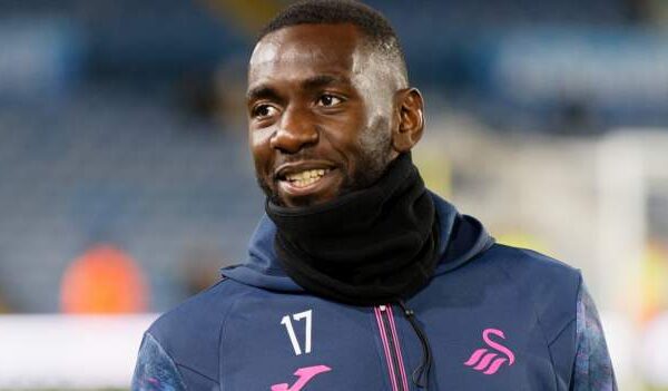 Yannick Bolasie: Swansea City signing can only play cameo role for now – Michael Duff