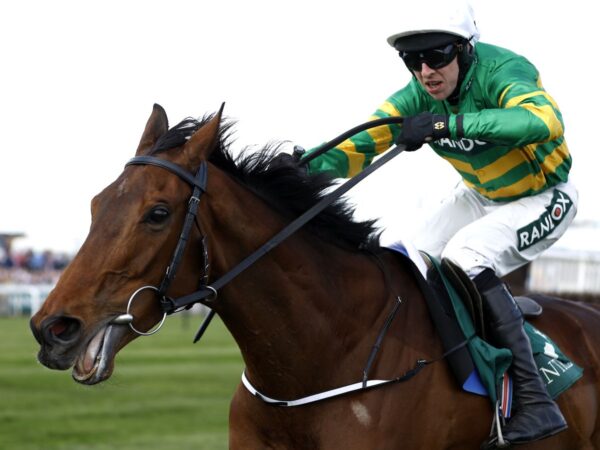 December Gold Cup: Fakir D’oudairies tops 15 confirmed for Cheltenham feature on Saturday | Racing News December Gold Cup: Fakir D’oudairies tops 15 confirmed for Cheltenham feature on Saturday | Racing News