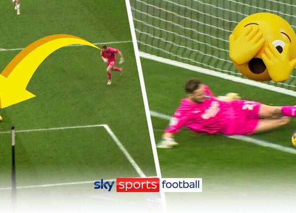 Matt Butcher blunder gives Cardiff City a late Christmas gift with a calamitous own goal! | Video | Watch TV Show