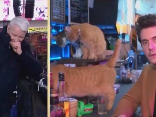 Anderson Cooper Loses It on Live TV During John Mayer’s Unexpected Cat Cafe Cameo