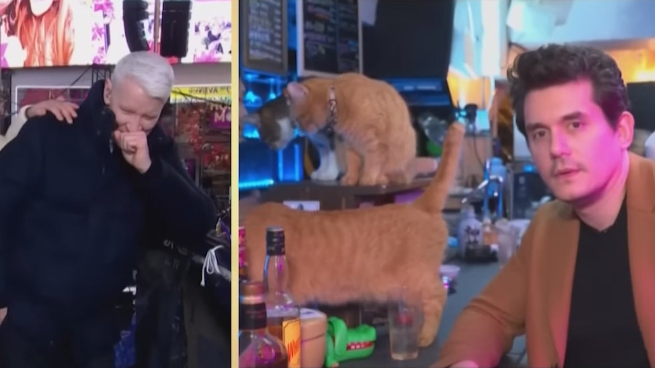 Anderson Cooper Loses It on Live TV During John Mayer’s Unexpected Cat Cafe Cameo Anderson Cooper Loses It on Live TV During John Mayer’s Unexpected Cat Cafe Cameo