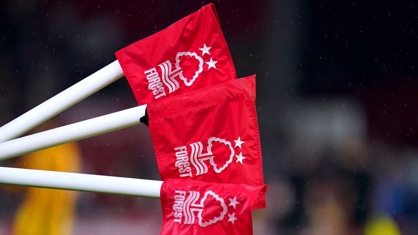 Nottingham Forest: Club expect to avoid FIFA punishment over transfer administration error | Football News Nottingham Forest: Club expect to avoid FIFA punishment over transfer administration error | Football News