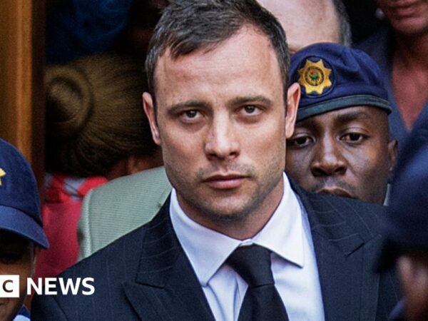 Pistorius – the fallen hero and his future