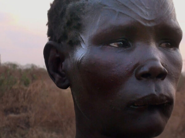 Three Great Documentaries to Stream