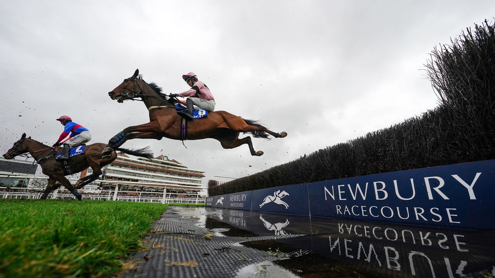 Tuesday racing tips: Five horses to follow on Sky Sports Racing from Newbury | Racing News Tuesday racing tips: Five horses to follow on Sky Sports Racing from Newbury | Racing News