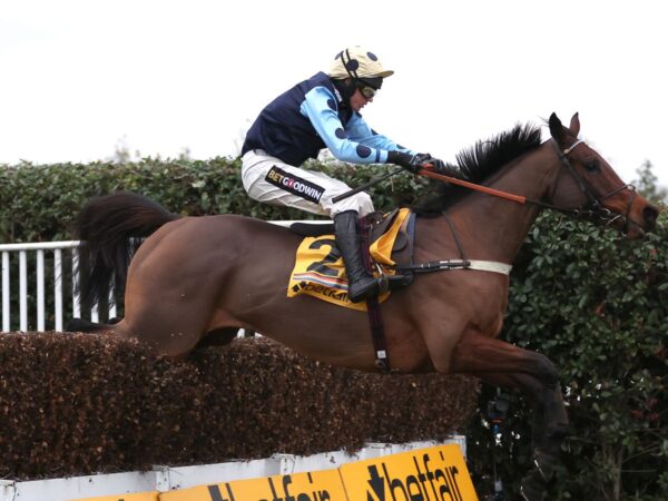 Weekend Winners: Silviniaco Conti Chase best bets as Edwardstone meets Pic D’Orhy | Racing News