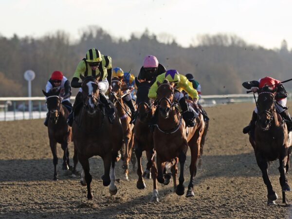 Winter Oaks: Luke Elder on every runner for Saturday’s Winter Million feature at Lingfield! | Racing News