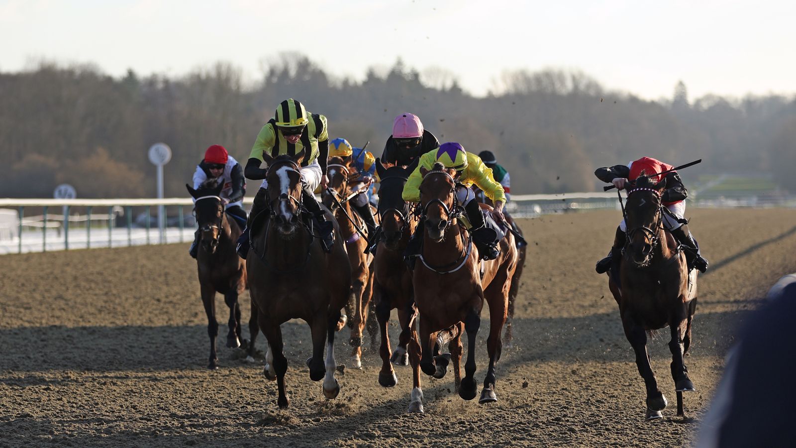 Winter Oaks: Luke Elder on every runner for Saturday’s Winter Million feature at Lingfield! | Racing News Winter Oaks: Luke Elder on every runner for Saturday’s Winter Million feature at Lingfield! | Racing News