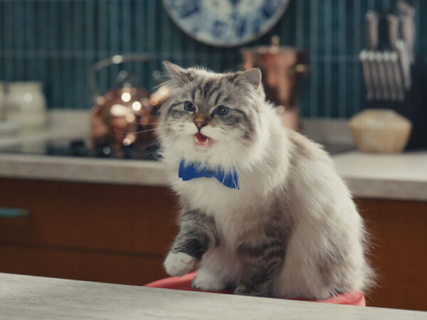  Million for 30 Seconds? It’s Worth It at the Super Bowl.