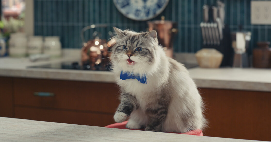  Million for 30 Seconds? It’s Worth It at the Super Bowl.