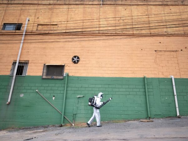 Brazil on dengue fever alert ahead of carnival