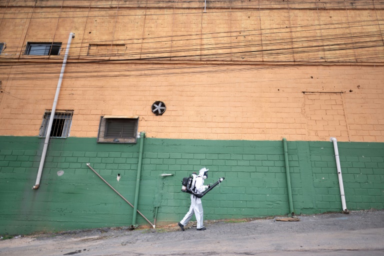 Brazil on dengue fever alert ahead of carnival