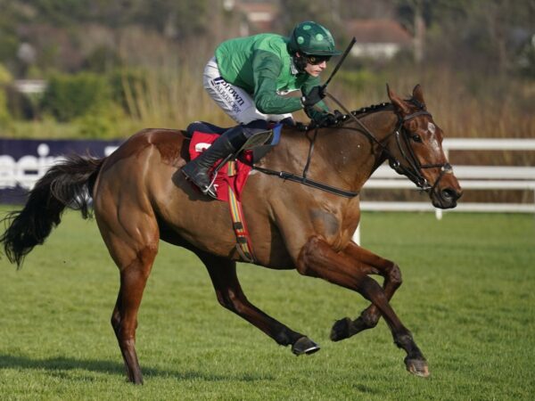 Dublin Racing Festival: El Fabiolo sees off Dinoblue to win Dublin Chase for Willie Mullins | Racing News