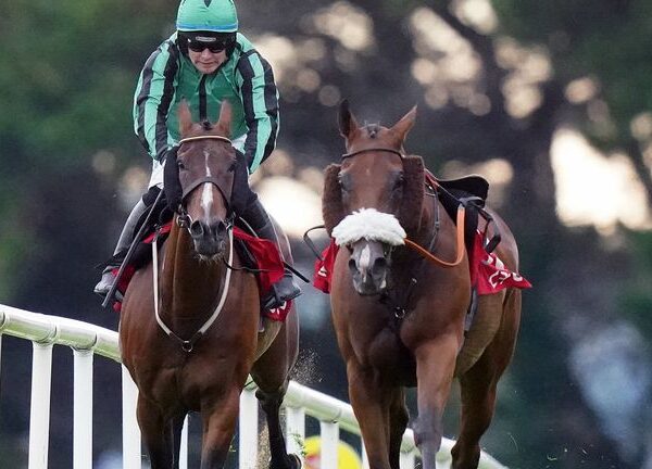 Grand National: Top-weight Hewick bids to join Red Rum in Aintree history books for John ‘Shark’ Hanlon | Racing News