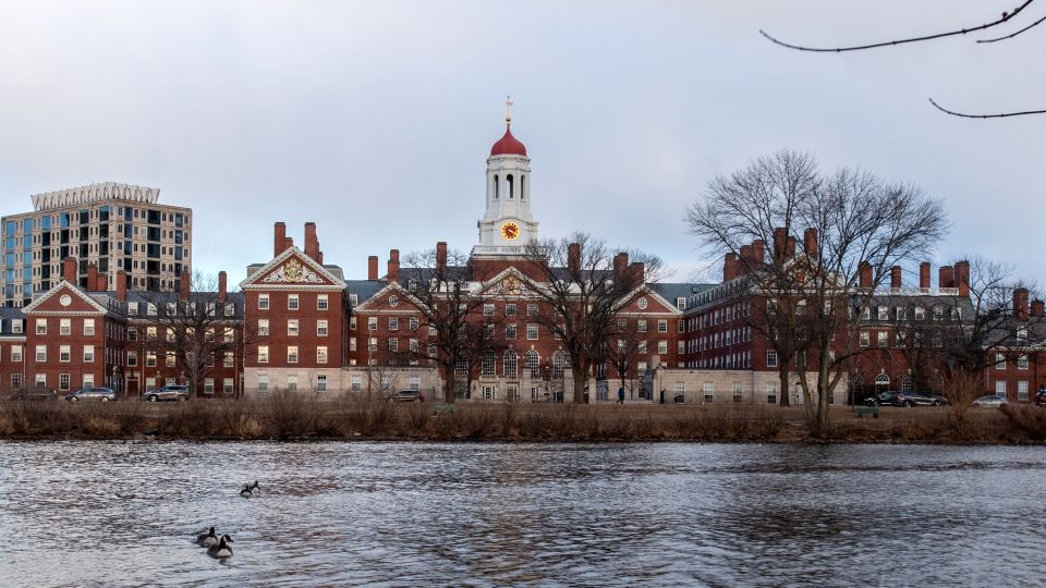 Harvard denounces ‘profoundly offensive’ antisemitic image circulated by pro-Palestinian campus groups Harvard denounces ‘profoundly offensive’ antisemitic image circulated by pro-Palestinian campus groups