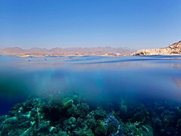 Large Roman shipwreck lay hidden in the Red Sea for thousands of years — until now