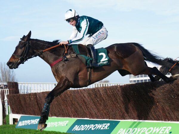 L’Homme Presse team positive ahead of Cheltenham Gold Cup despite Ascot setback | Racing News L’Homme Presse team positive ahead of Cheltenham Gold Cup despite Ascot setback | Racing News